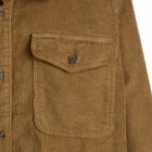 Patagonia Men's Corduroy Shirt in Coriander Brown