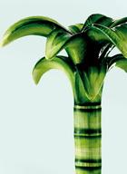 Les Ottomans Medium Palm Candleholder