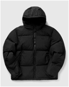 Lacoste Blouson Black - Mens - Down & Puffer Jackets