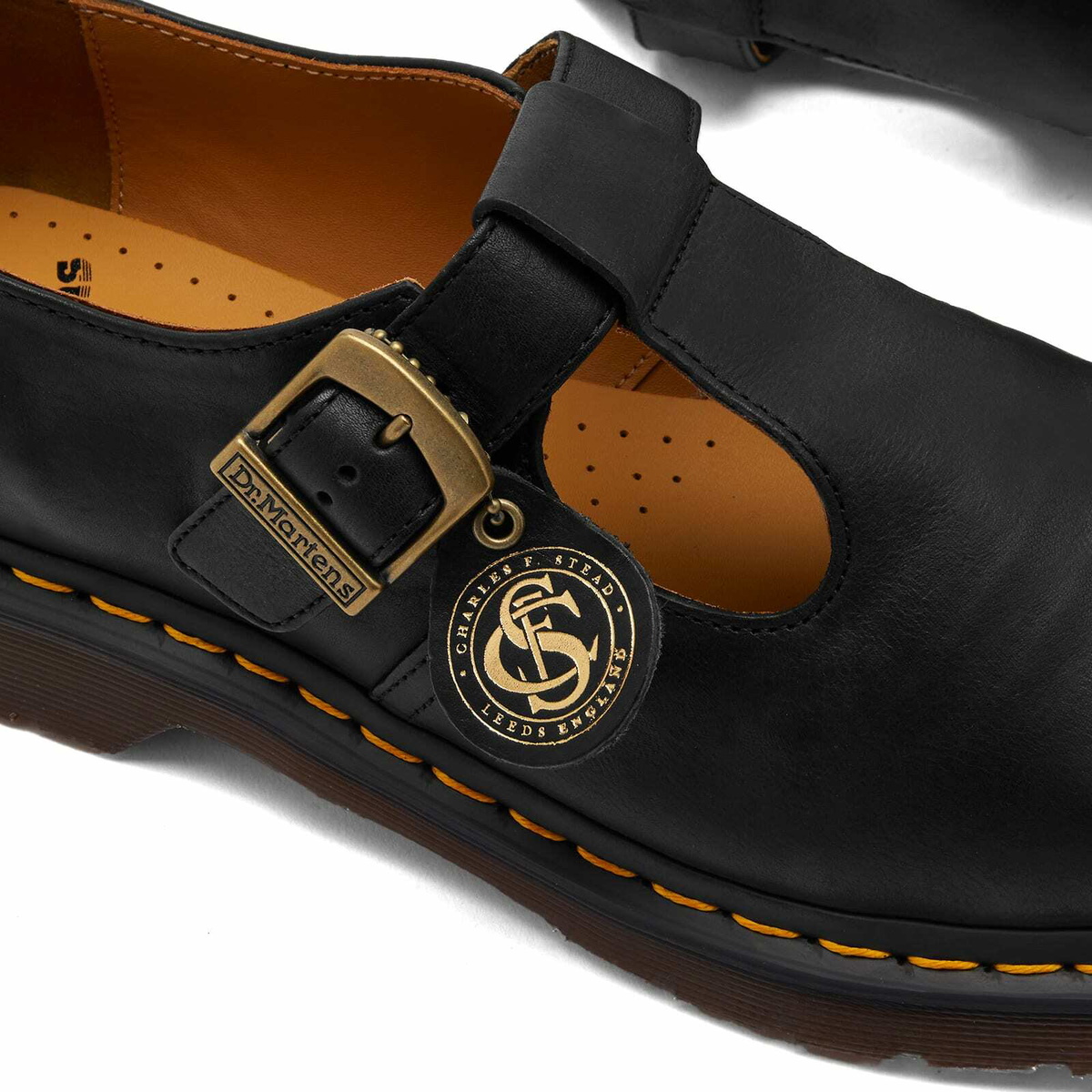 Dr. Martens Men's T-Bar Shoe Regency Calf Sneakers in Black