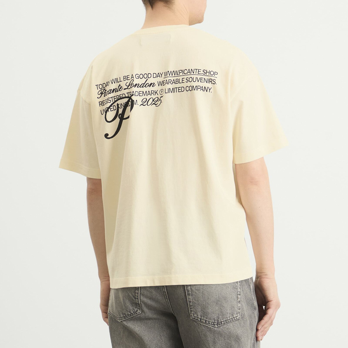 Picante Men's Gallery T-Shirt in Ivory