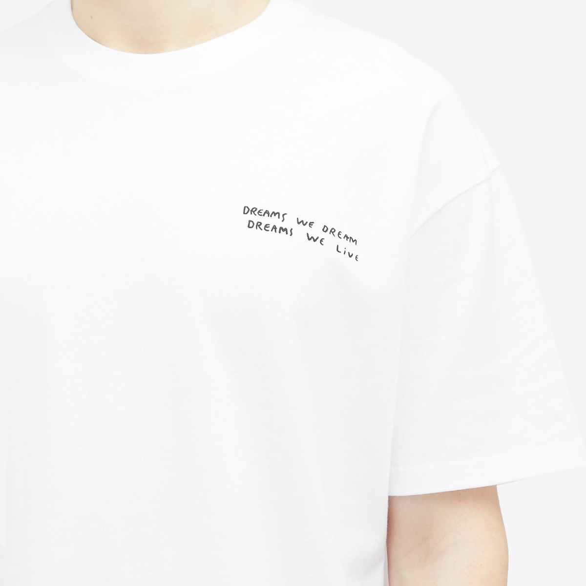 Polar Skate Co. Men's Dreams We Dream T-Shirt in White