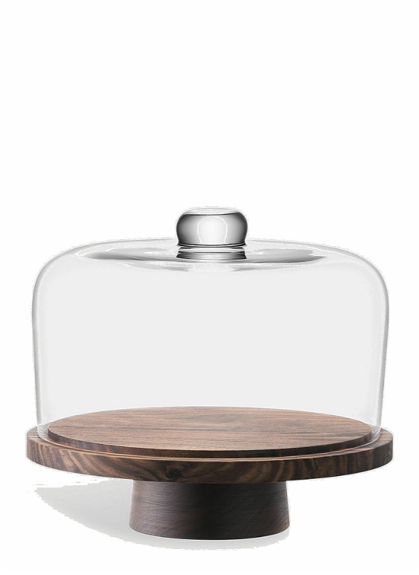 Photo: City Dome and Walnut Stand in Transparent