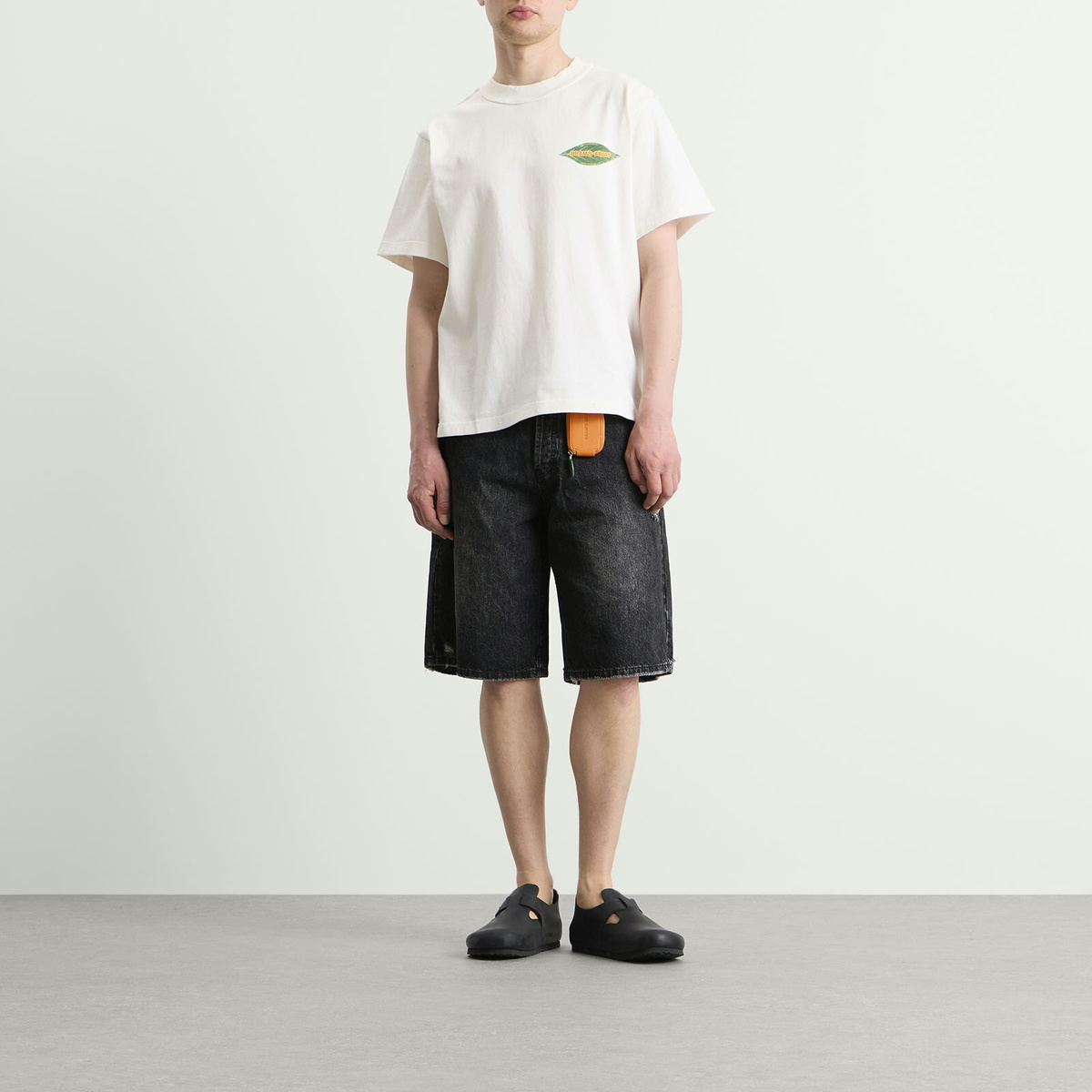 Bram's Fruit Men's Denim Shorts in Washed Black