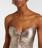 Maria Lucia Hohan Mirren silk-blend chiffon bustier gown