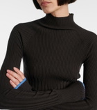 Proenza Schouler Daniella ribbed-knit sweater