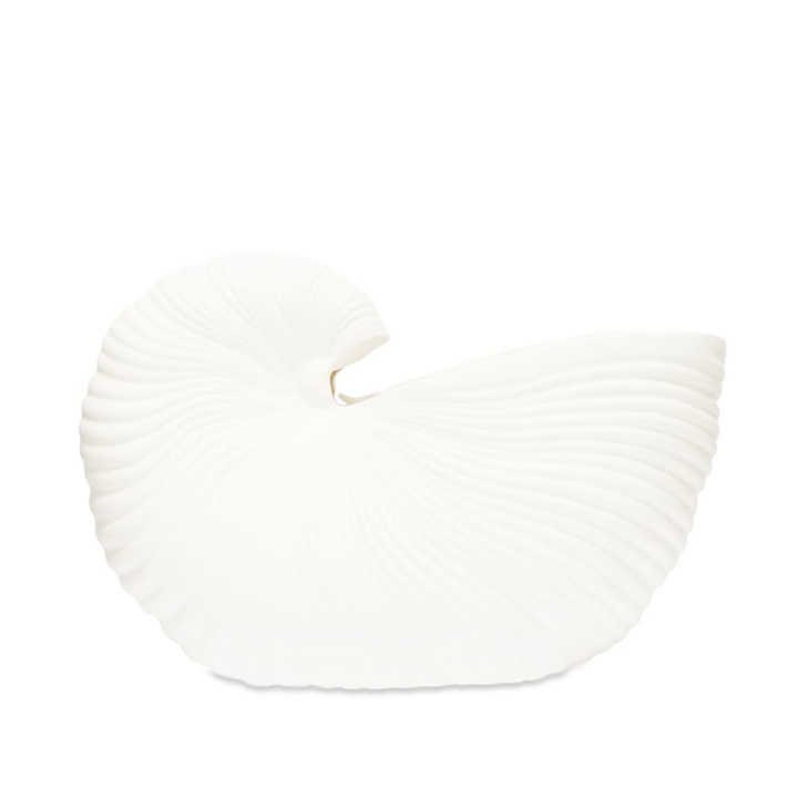 Photo: ferm LIVING Shell Pot