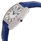 Franck Muller Cintree Curvex Quartz Silver Dial Watch 2250 QZ DWG