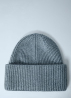 Max Mara Logo Motif Beanie Hat