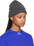 ADER error Gray TRS Tag 02 Beanie