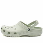 Crocs Classic Clog in Plaster