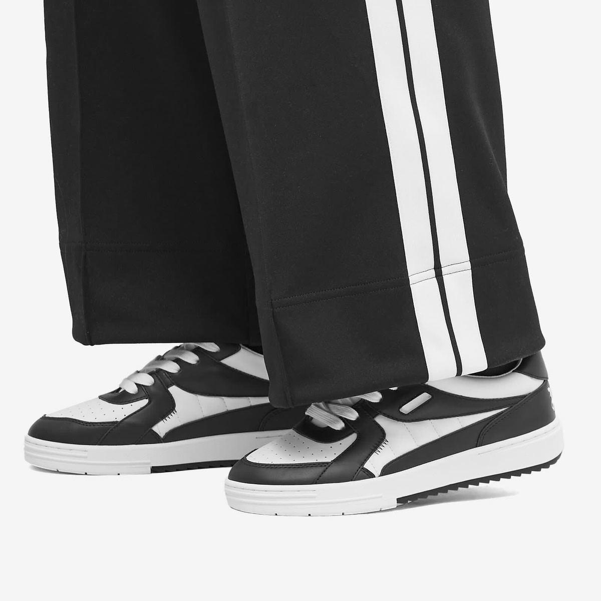 Palm Angels Women's Palm University Sneakers in White Palm