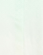 Casablanca Womens Shirt Light in Green