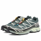 Salomon XT-6 GTX in Urban Chic/Black/Lime Cream
