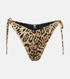 Reina Olga Susan leopard-print bikini bottoms
