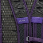Osprey Daylite Plus Backpack in Dream Purple 