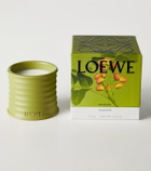 Loewe Home Scents Pistachio Small scented candle