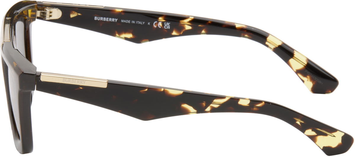 Burberry Brown & Yellow Classic Rectangular Sunglasses