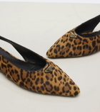 Prada Leopard-print calf hair slingback flats