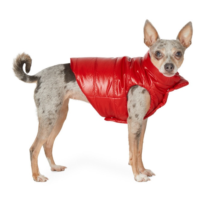 Photo: Moncler Genius Red Poldo Dog Couture Edition Mondog Jacket