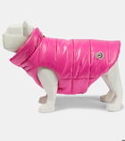 Moncler Moncler Poldo Dog Couture dog coat