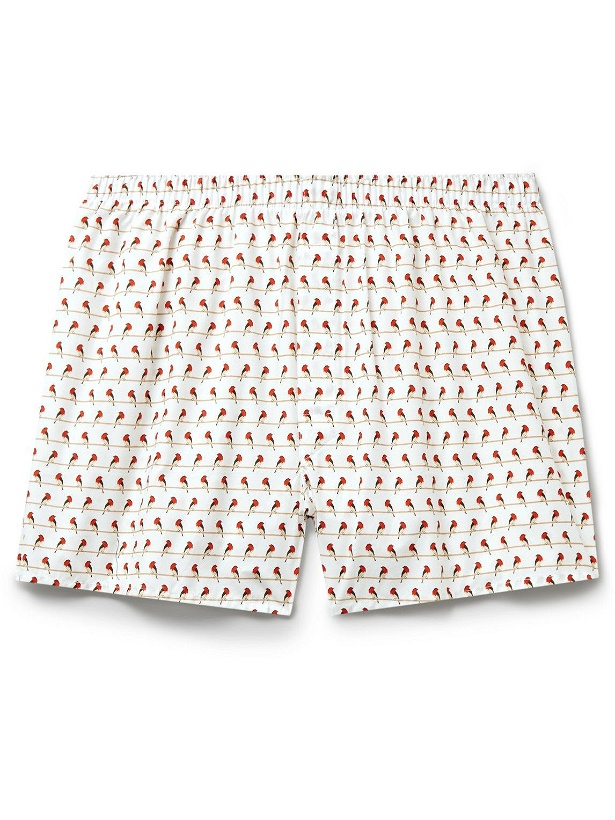 Photo: Sunspel - Printed Cotton Boxer Shorts - Neutrals