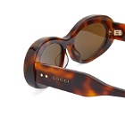 Gucci Women's GG1527S Sunglasses in Havana/Brown 