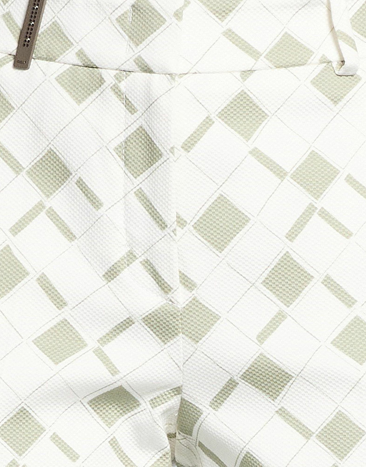 Peserico Icon 4718 Womens Pants in Sage green