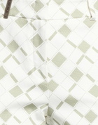 Peserico Icon 4718 Womens Pants in Sage green
