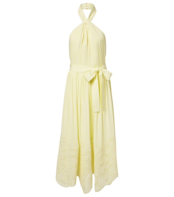 ELIE SAAB - Tulle Embroidered Midi Dress Elie Saab