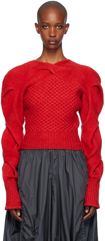 Photo: Kiko Kostadinov Red Dendra Sweater