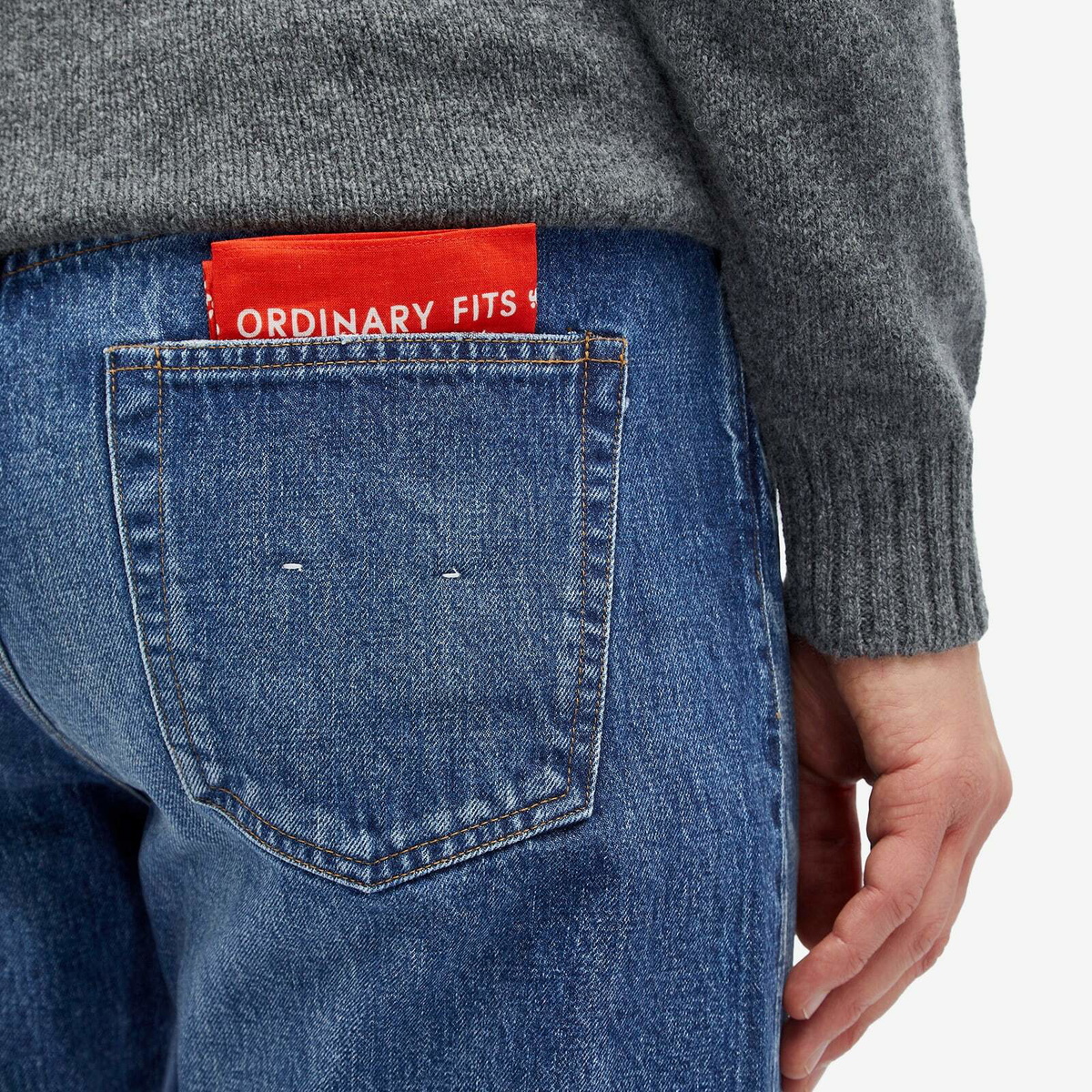 Ordinary Fits Men's 116 Standard Jean in Blue