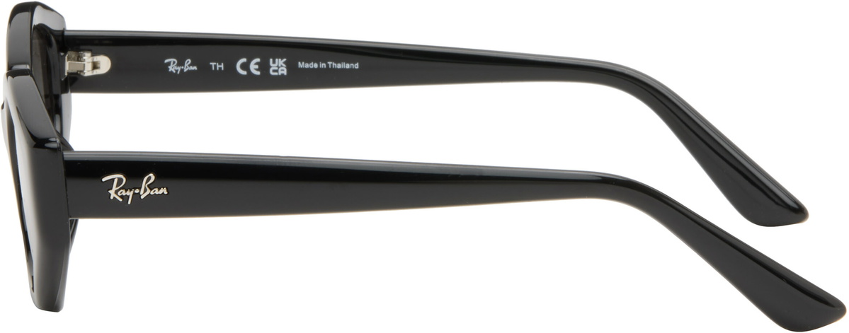 Ray-Ban Black RB4473D Sunglasses