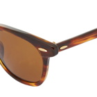 Ray Ban Men's RB2298 Sunglasses in Tortoise/Brown