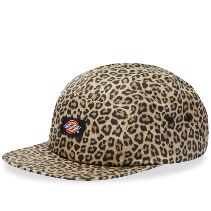 Photo: Dickies Men's Albertville 5 Panel Cap in Leopard Print