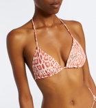 Roberto Cavalli Leopard-print triangle bikini top
