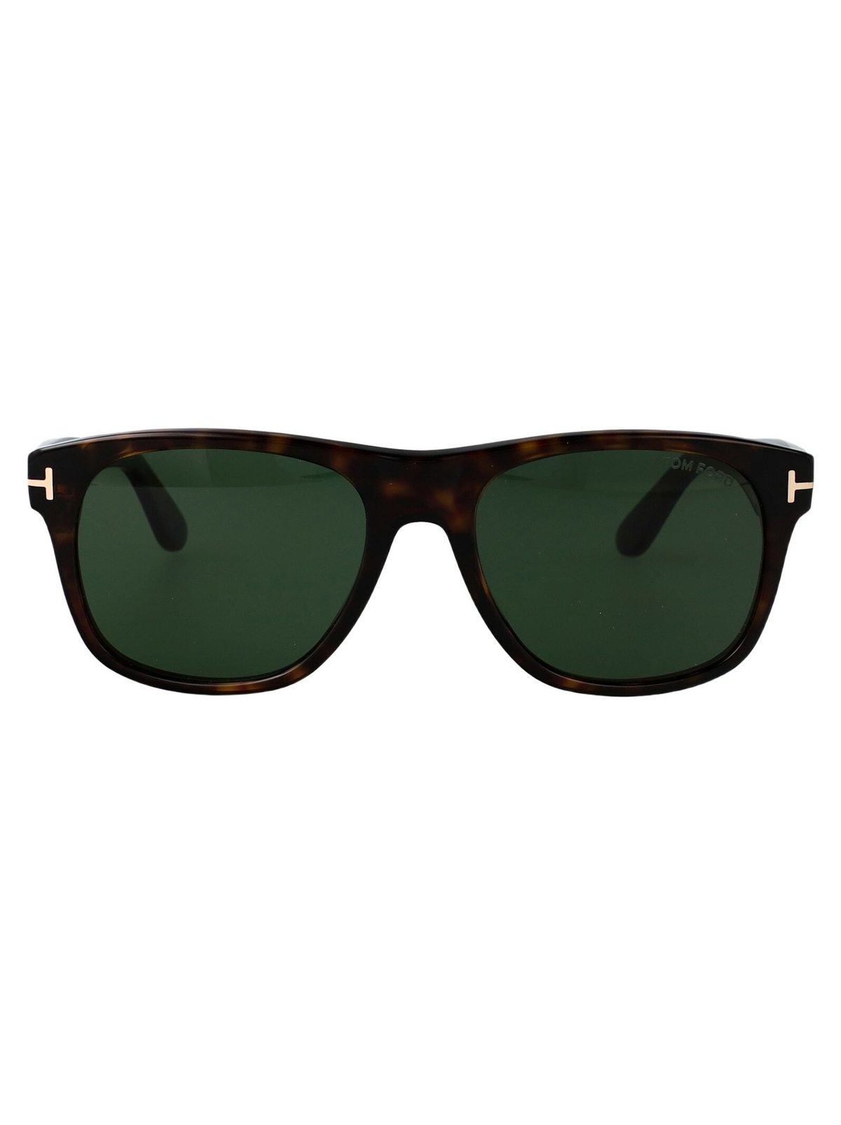 Tom Ford Eyewear Marlon-02 Sunglasses