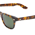 Moscot Mobble Sunglasses in Tortoise/G-15