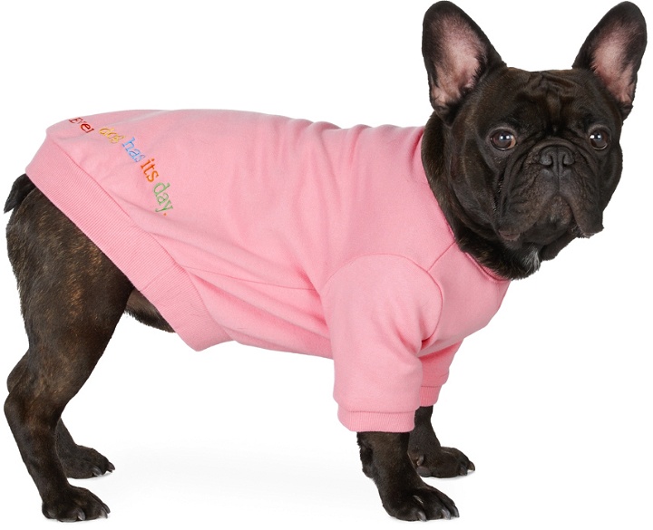 Photo: little beast Pink 'The Lucky Pink' Sweatshirt