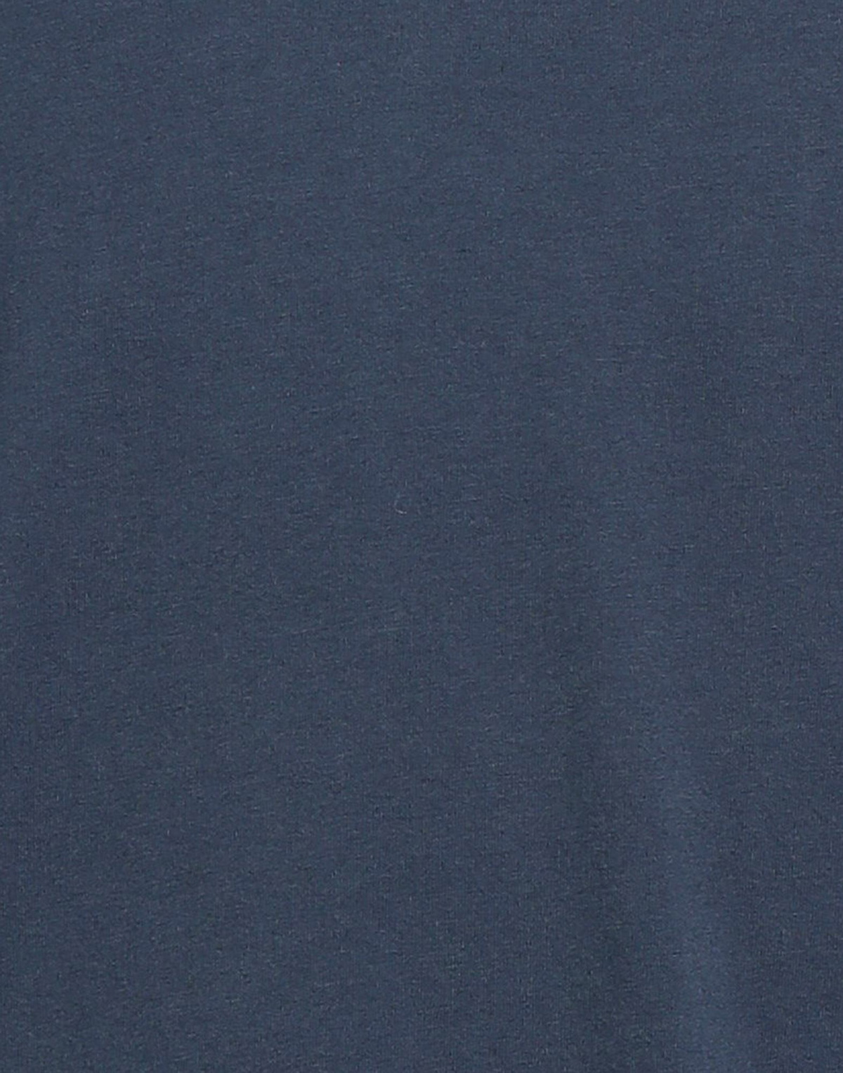 Maison Kitsuné Mens T-shirt Slate in Blue