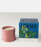 Loewe Home Scents Ivy Small candle