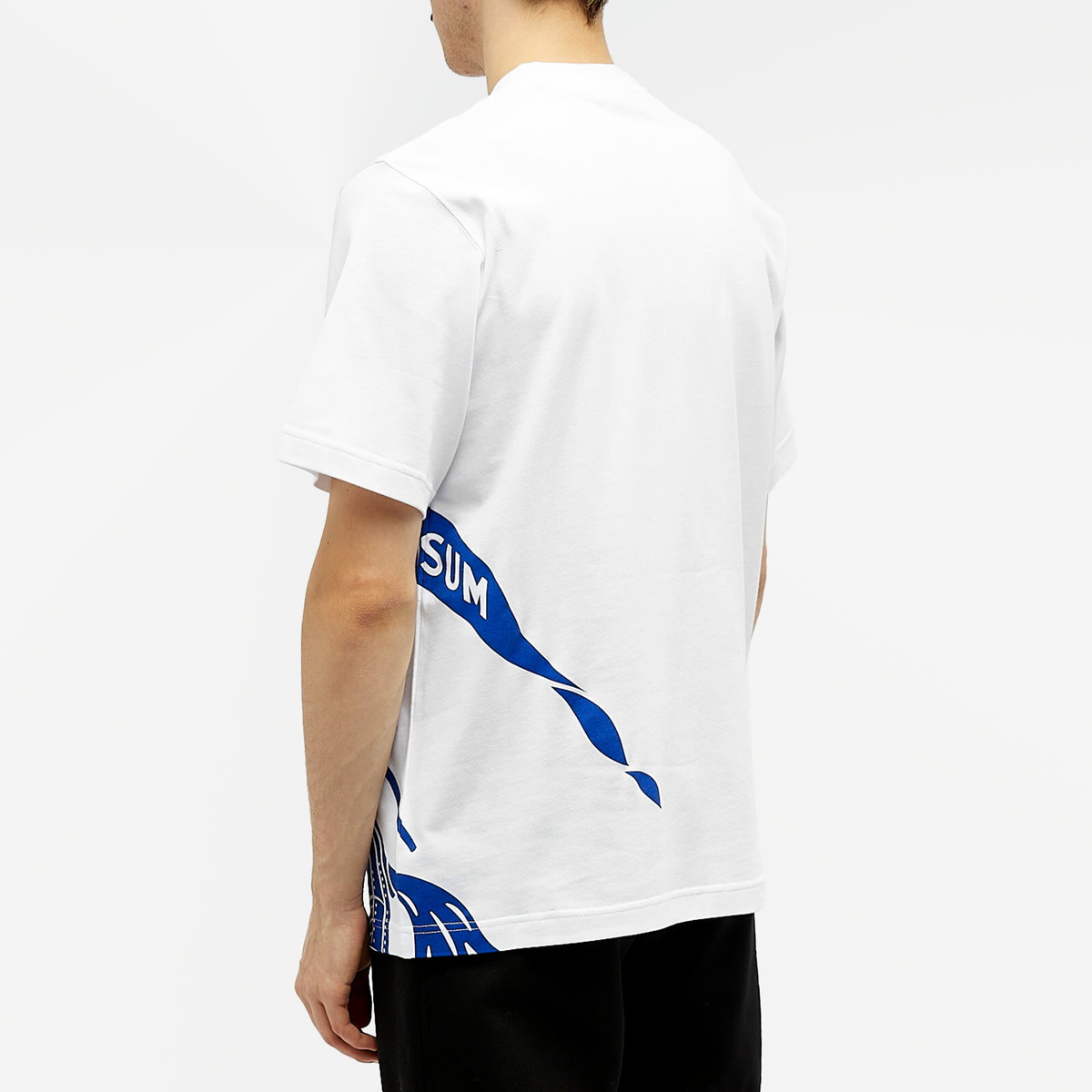 BURBERRY バーバリー EKD Knight ナイト ロゴ Tシャツ Burberry Men's EKD T-Shirt in Knight Burberry