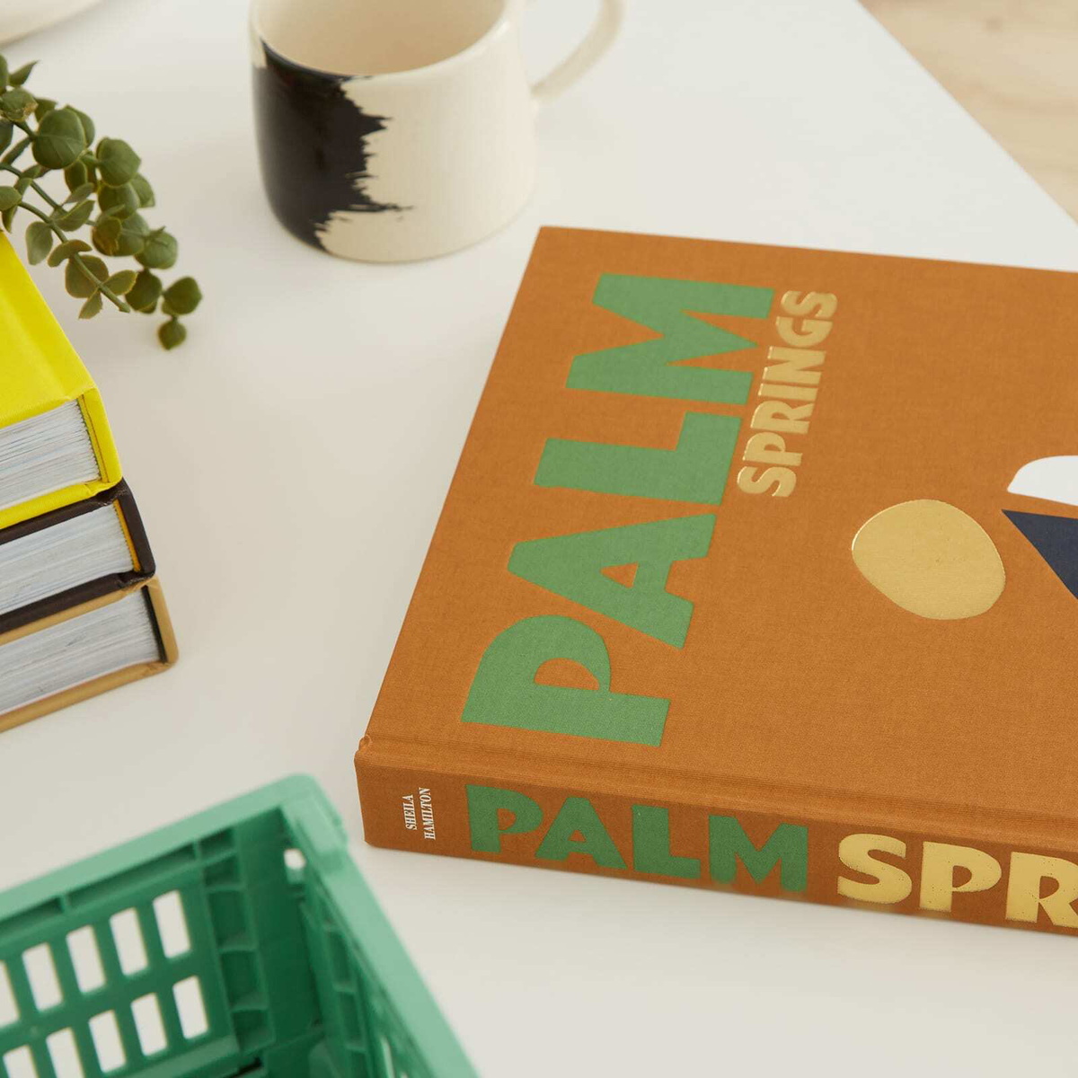 Assouline Palm Springs in Sheila Hamilton 