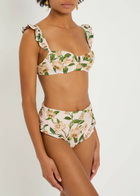 Agua BY Agua Bendita Jengibre Orquidea Floral-embroidered Bikini Briefs Multicoloured