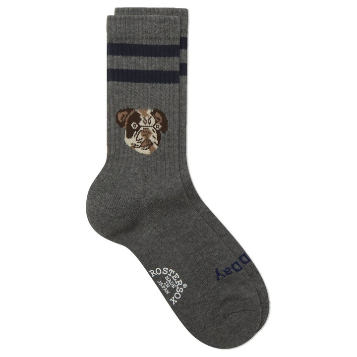 Photo: Rostersox Dog Socks in Grey