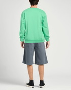 Colorful Standard Mens Sweatshirt Light in Green