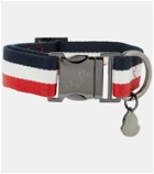 Moncler Genius - Striped dog collar