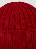 Another 1.0 Beanie Hat in Red