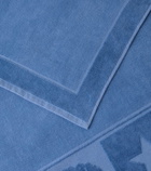 Loro Piana Crest cotton terry beach towel