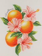 CASABLANCA - Oranges En Fleur Print Silk Scarf
